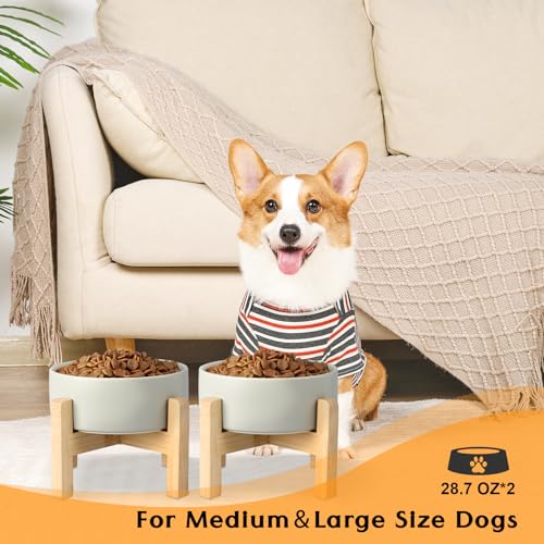 SPUNKYJUNKY Ceramic Elevated Dog Bowls 2 Pack - 6.1inch Raised Dog Bowls with Non-Slip Wooden Stand for Medium Dogs Dishwasher Safe(Grey,28.7OZ*2) - color: Grey, size: Medium - 3.6 CUPS*2