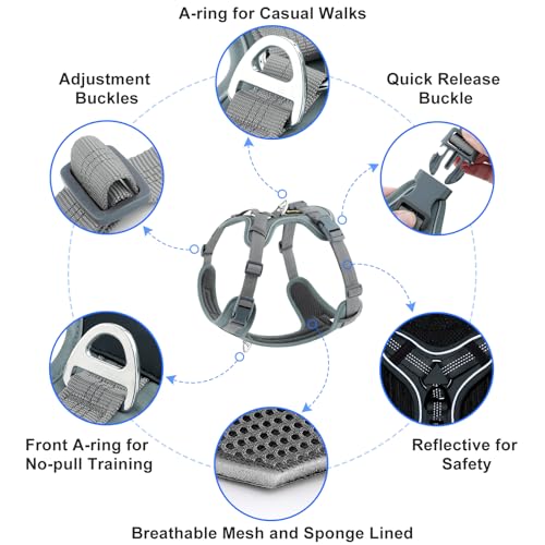 Plutus Pet No Pull Dog Harness, Release at Neck, Soft Padded, Reflective Adjustable Dog Vest Harness for Small, Medium, Large Dogs(Gray, S) - color: Gray, size: S