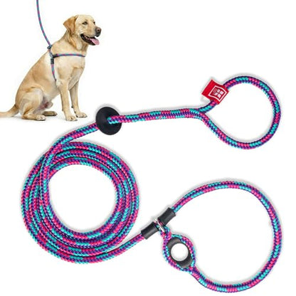 Harness Lead No Pull Dog Harness and Leash Set, Anti Pull Dog Harness, One-Piece Cushioned Rope Safely Prevents Escaping and Pulling (Medium/Large, Reef) - color: Reef (Purple/Raspberry/Turquoise)