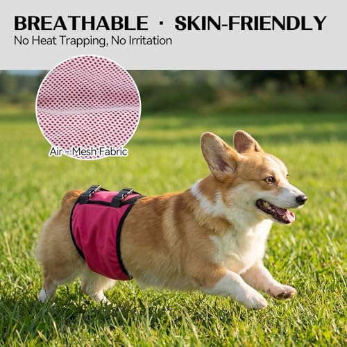 DENTRUN Male Dog Wrap, Adjustable Belly Band Leak-Proof & Lick Prevention | Machine washable, fast drying, post-surgery recovery & heat cycle diaper, stops mounting & marking, adjustable fit, XS-XL - color: Pink, size: M
