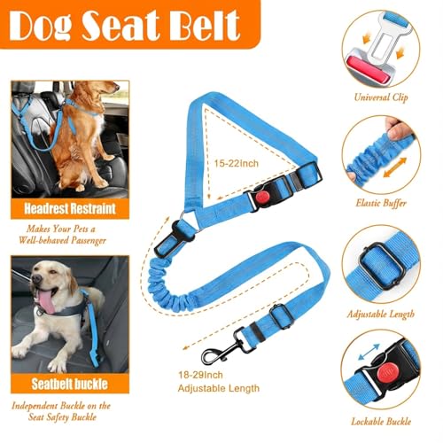 LOBEVE No Pull Dog Harness, Collar & Leash Set | Includes Dog Seat Belt, Collapsible Bowls & Poop Bag Dispenser. Ideal for Training, Walking, Hiking. Fits Small to Large Dogs(Blue-XL) - color: Blue, size: X-Large