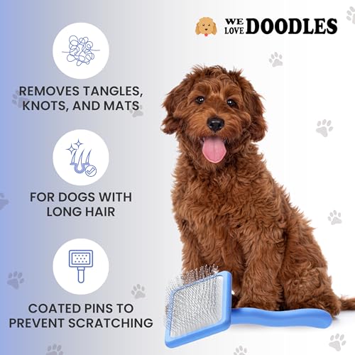 We Love Doodles Slicker Brush with Non Scratching Pins - Dog Brush with Coated Pins, Slicker Brush for Dogs Dematting, Grooming Brushes for Short Haired & Long Haired, Poodle & Goldendoodle (Large) - size: Large