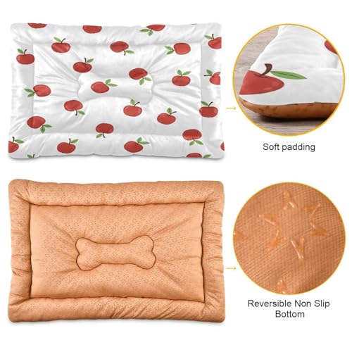 Apples Pattern Pet Bed Mat for Dogs and Cats, Soft Washable Crate Pad with Non-Slip Bottom, Cozy Bed Cushion for Small Medium Large Pets, 18x24 Inch - size: Small