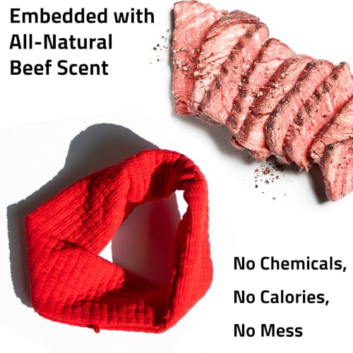 Playology Dog Toys | Plush Toy Crinkle Ring for Large Dogs | Beef Scented Jumbo Plush Chew Toy - size: Jumbo Ring, style: Beef