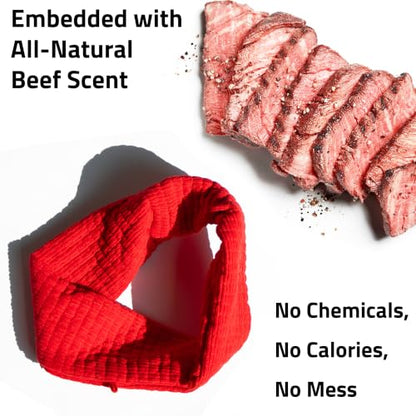 Playology Dog Toys | Plush Toy Crinkle Ring for Large Dogs | Beef Scented Jumbo Plush Chew Toy - size: Jumbo Ring, style: Beef