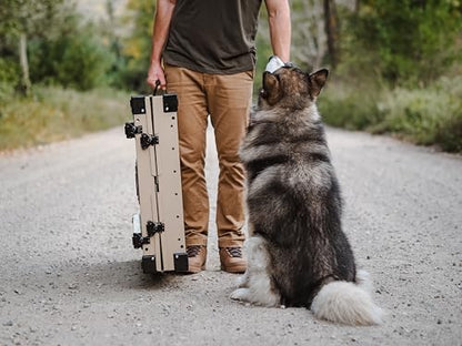 K9 Kennel Boss Aluminum Collapsible Dog Crate, Heavy Duty Folding Kennel - Large (Tan) - color: Tan, size: 41.6"L x 29.7"W x 33.9"H