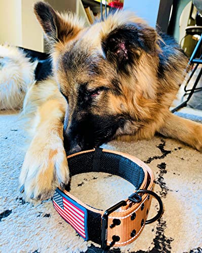 Tactical Dog Collar 2 Inch Wide Heavy Duty with Metal 2-Pin Belt Buckle for Medium, Large & XL Dogs, Thick Military-Style K9 Collar, Reflective, with Name Plate Area, USA Flag Patch, Strong & Durable - color: DESERT TAN, size: 20-28 inches