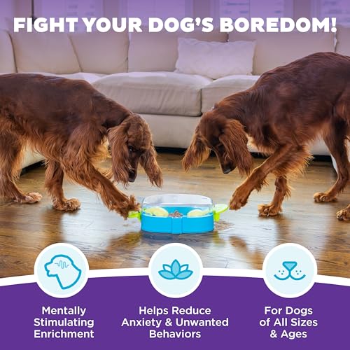 Outward Hound Nina Ottosson Paw N' Play Interactive Dog Treat Puzzle, Level 2 Intermediate Dog Enrichment Dog Toy, Blue, Small - color: Paw N' Play (Blue)