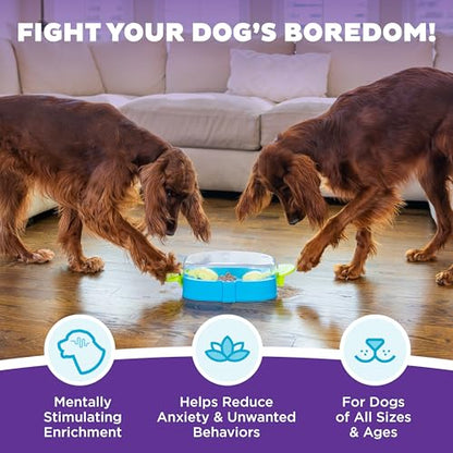 Outward Hound Nina Ottosson Paw N' Play Interactive Dog Treat Puzzle, Level 2 Intermediate Dog Enrichment Dog Toy, Blue, Small - color: Paw N' Play (Blue)