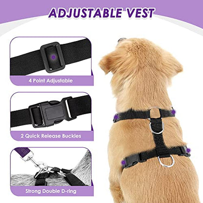 Lukovee Dog Car Harness Seat Belt, Adjustable Mesh Breathable Vest with Elastic Bungee Tether, Soft Padded 2-in-1 Safety Car Harness Seatbelt for Small Medium Large Dogs (Purple,XS) - color: Purple, size: X-Small