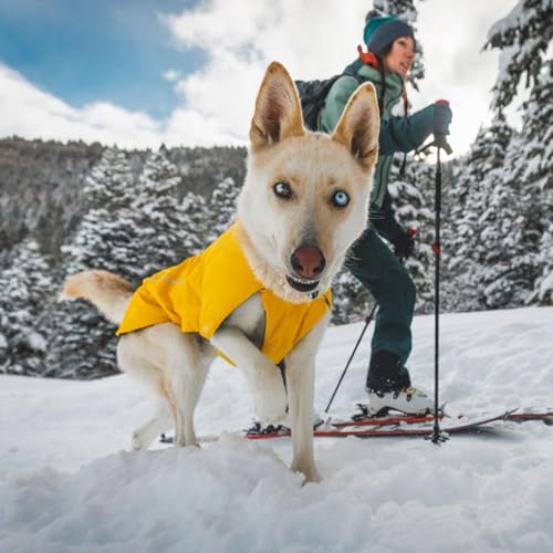 Ruffwear, Vert Dog Winter Jacket, Insulated Waterproof Dog Coat with Harness Leash Portal, Breathable Design with Leg Loops, Windproof Extended Coverage, Reflective Trim, Mineral Yellow, X-Large - color: Mineral Yellow, size: X-Large