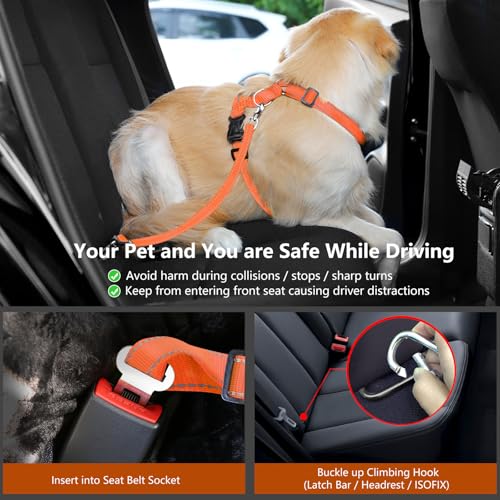 VavoPaw Dog Seat Belt Harness for Car, Dog Car Harness Adjustable Mesh Breathable & Dogs Seatbelt Safety Tether with Elastic Bungee for Small Medium Large Pets(Orange, M)