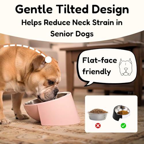 Tilted Dog Bowl for Flat-Faced & Senior Dogs, 15° Slanted Stainless Steel Dog Food Bowl, Elevated Pet Feeder for Small & Medium Dogs (Black + Dark Blue, M (420 ML / 1.5 Cups)) - color: Black + Dark Blue