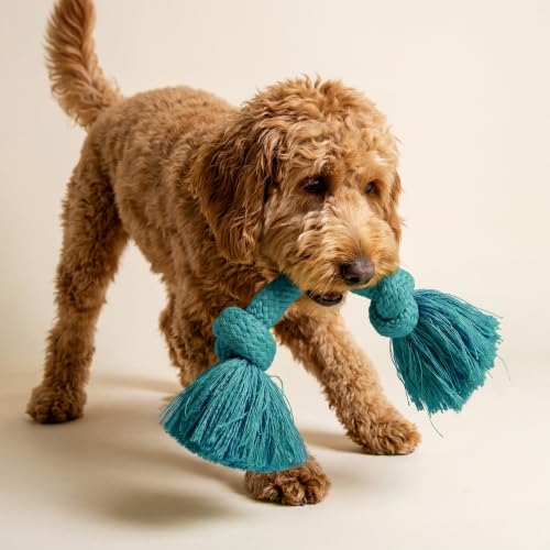 Playology Dog Toys | Dri-Tech Rope Tug of War Dog Toy for Tough Chewers | Peanut Butter Scented Medium Tug Rope Toys for Dogs - size: Medium, style: Peanut Butter