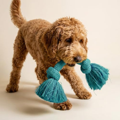 Playology Dog Toys | Dri-Tech Rope Tug of War Dog Toy for Tough Chewers | Peanut Butter Scented Medium Tug Rope Toys for Dogs - size: Medium, style: Peanut Butter