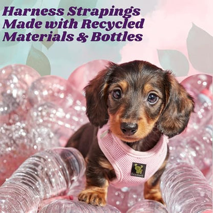EcoBark Teacup Dog Harness - Luxury Soft XXXS Dog Harnesses for Puppy & Toy Breed Dog - Reflective Mini Step in Halter Vest (Baby Pink) - color: Baby Pink, size: XXXS- 2 to 3 lbs- Chest up to 10 in (Pack of 1)