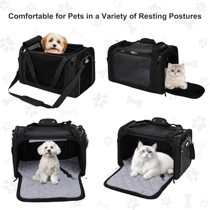 EliteField Deluxe Soft-Sided Pet Carrier (3 Year Warranty, Airline Approved), Travel Bag for Dogs, Cats & Small Pets, with Expandable Mat - color: Black, size: Medium: 18"L x 11"W x 11"H