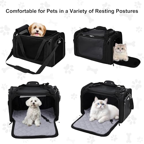 EliteField Deluxe Soft-Sided Pet Carrier (3 Year Warranty, Airline Approved), Travel Bag for Dogs, Cats & Small Pets, with Expandable Mat - color: Black, size: Large: 20"L x 12"W x 12"H