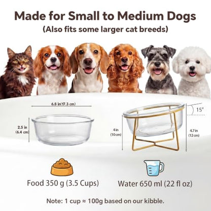 Large Glass Tilted Elevated Cat Dog Bowl Raised Cat Food Water Bowl Dish Pet Comfort Feeding Bowls with Gold Iron Stand - color: Glass, size: Large