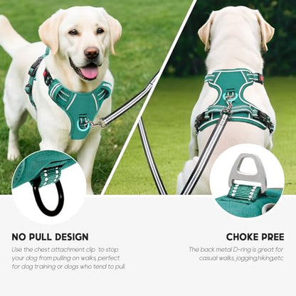 Timos Dog Harness Small Sized, No Pull Pet Harness with Neck Lockable Snap, No Choke Front Clip Reflective Vest, Adjustable Metal Rings 3 Buckles, Easy Control Handle for Small Dogs Grass Green S - color: Lock Grass Green, size: Small (Pack of 1)