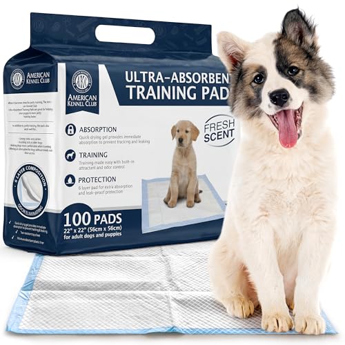 American Kennel Club Scented Puppy Training Pads with Ultra Absorbent Quick Dry Gel – 22 x 22 Pee Pads for Dogs - Fresh Scented - Pack of 100 - size: 22 x 22 - 100 Count