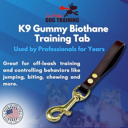 Biothane Training Tab Leash for Dogs, Brass Hardware, No Pull with Easy Grip Handle, Made in The USA, Professional Grade-Brown - color: Brown
