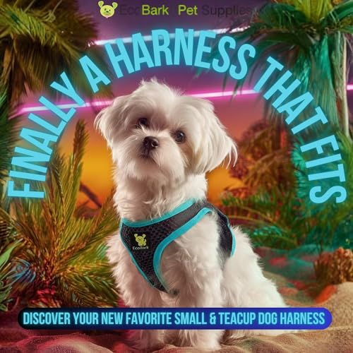 EcoBark Step in Dog Harness - Teacup Dog Harnesses for XXXS, XXS, XS and Small Dog Breeds - Reflective - Adjustable Mini Body Halter Vest - Tiny Soft Mesh Toy Breed (Black and Teal, XXXS) - color: Black and Teal Trim, size: XXXS- 2 to 3 lbs- Chest up to 1