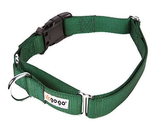 GOGO Pet Products 1-Inch Martingale Dog Collar, Large, Hunter Green - color: Hunter Green, size: Large (1" web width)
