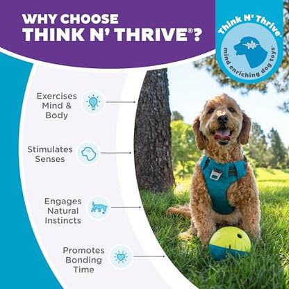 Outward Hound by Nina Ottosson Treat Tumble – Interactive Food-Dispensing Dog Puzzle Ball, Level 1 Beginner, Small, 4.8" - color: Treat Tumble (Small Blue)