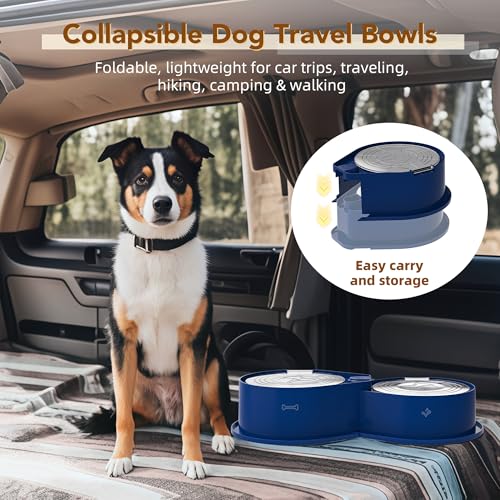 Newget Stainless Steel Dog Bowl Set with Lids, 304 Metal Dual Food & Water Bowls for Dogs & Cats, Large Capacity Pet Feeder with Cover Keeps Food Fresh, Anti-Skid Dog Dish for Small/Medium/Large Pets - color: Blue