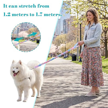 Dog Leash for Small to Medium Dogs, Shock Absorbing Dog Leashs, Dog Walking Leash, Dog Training Leashs, Ombre Color， 4-5.5 Feet(Pink-Blue Ombré) - color: Pink-Blue Ombré