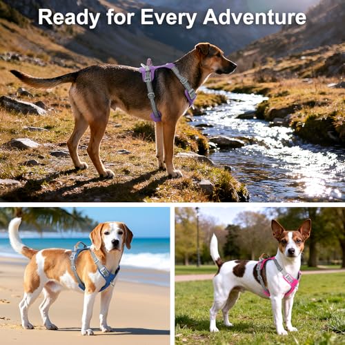 No Pull Dog Harness – Adjustable Reflective Nylon Vest for Small Medium Large Dogs, Escape Proof Training Harness with Leather Control Handle, Lightweight Aluminum Hardware (Red, XL) - color: Red, size: XL