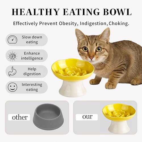 Ceramic Slow Feeder Bowl for Cats and Small Dogs, Elevated Tilted Pet Food Dish, Whisker Friendly Anti-Vomit Design, Heavy Stable Base, Dishwasher Safe， 5 Colors Options (Lemon Yellow) - color: Lemon Yellow