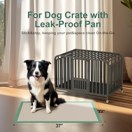 Gardner Pet Dog Pee Pads Extra Large 22"x37", 30 Count, Puppy Pee Pads with Adhesive Sticky Tape, Leak Prevention Disposable Training Bed Pads for Doggie, Cat, Rabbit, Suitable for Crate/Cage - size: 22" x 37" (30 Ct)