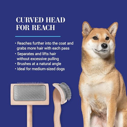 Chris Christensen Mark VI Curved Back Slicker Brush for Dogs, 12mm Pins, Groom Like a Pro, Handcrafted Lightweight Beechwood Ergonomic Handle, Stainless Steel Pins, A5VI, Medium. Made in Germany. - size: Mark VI Medium Curved Back
