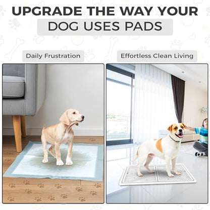 Dog Pee Pad Holder with Raised Mesh Grate – Expandable Indoor Puppy Potty Tray, Heavy Duty Plastic, Keeps Paws Dry, Fits Standard 24x15 Pads – Alpha Dog Series