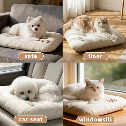 Washable Dog Bed Ultra Soft Plush Dog Crate Mat, Dog Bed for Crate, 3.2" Thick Dog Bed Mat, Kennel Pad for Small and Medium Dogs, Beige (Beige, 24" L x 18" W x 3.2" Th) - size: 24"L x 18"W x 3.2"Th