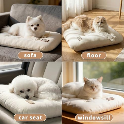 Washable Dog Bed Ultra Soft Plush Dog Crate Mat, Dog Bed for Crate, 3.2" Thick Dog Bed Mat, Kennel Pad for Small and Medium Dogs, Beige (Beige, 24" L x 18" W x 3.2" Th) - size: 24"L x 18"W x 3.2"Th