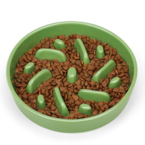 Ceramic Slow Feeder Dog Bowl, 2 Cups Dog Food Bowls for Small, Medium, and Large Breed, Anti-Slip Puzzle Food Dish to Slow Down Eating (Green, 2 Cups) - color: Maze - Green
