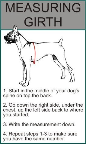 Doggie Stylz DO NOT PET Nylon Strap Service Dog Harness No Pull Guide Assistance Comes with 2 Reflective DO NOT PET Removable Patches. Please Measure Your Dog Before Ordering. - size: Medium Fits Girth 22-29"
