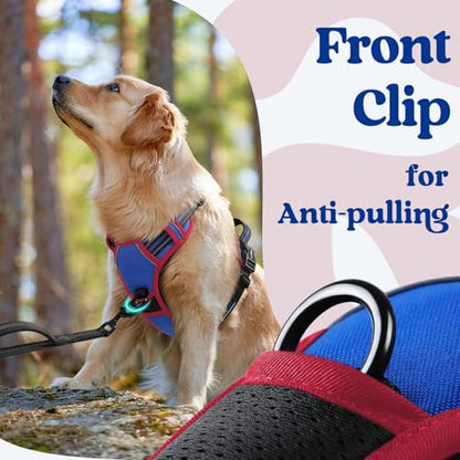 rabbitgoo Dog Harness Small Sized, No Pull Easy On & Off with 3 Buckles Pet Harness, Adjustable Soft Walking Vest with 2 Clips and Handle, Reflective for Small Dogs, Royal Blue & Red, S - color: Royal Blue & Red, size: Small