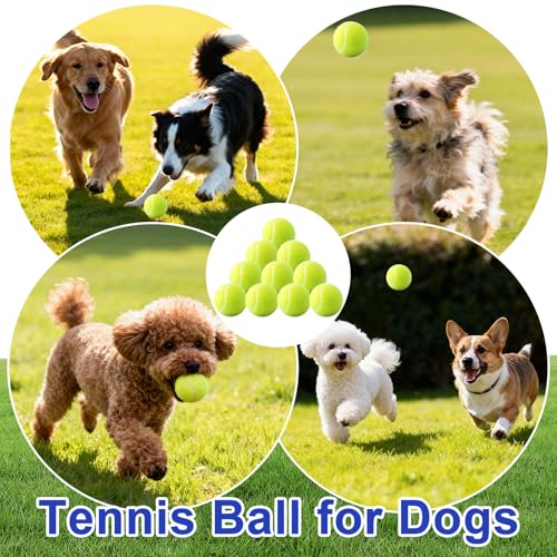 10 Pack of 2 Inch Mini Tennis Balls for Small Dogs, Fetch & Chew Toys, Compatible with 2" Automatic Ball Launchers for Interactive Play (Green 3)