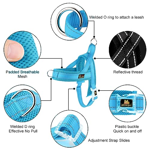 Plutus Pet No Pull Dog Harness with Breathable Mesh Padded, Adjustable Reflective Escape Proof Dog Harness, Quick Fit Dog Vest Harness for Small Medium Large Dogs(XS, Cyan) - color: Cyan, size: XS: chest 13.8"-17.3"