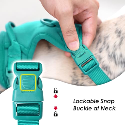 No Pull Dog Harness, Puppy Vest with Front Clip for Small Medium Large Sized Dog(MARRS Green,XS) - color: MARRS Green, size: XS(Neck:11.8-16.5", Chest:14.2-19.7")