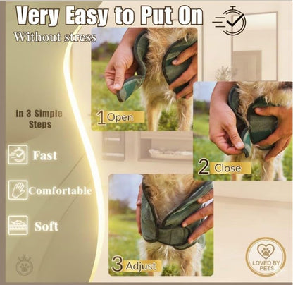 |FELPACTIVE® Premium Dog Drying Robe | Sizes S - XXXL | Quick-Drying Super Absorbent Double-Layer Microfiber | Soft & Snug Fit | Includes Luxury Gift Box + EBOOK | Dog Bath Robe, Pet Warming Bathrobe - color: jade green, size: Large