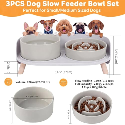 Elevated Slow Feeder Dog Bowls - Ceramic Food and Water Bowl Set with Stand - Raised Pet Dishes for Small and Medium Sized Dogs - color: Grey