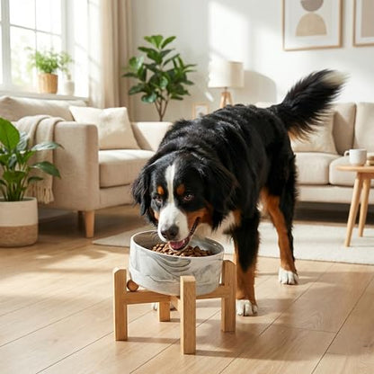 hjn Elevated Ceramic Dog Bowl 15°Slanted Raised Dog Bowl with Bamboo Stand for Small Medium Dogs and Cats, Pet Feeder -7.6-Cup (1800ml)-Marble Gray - color: Marble Gray, size: 7.6Cup