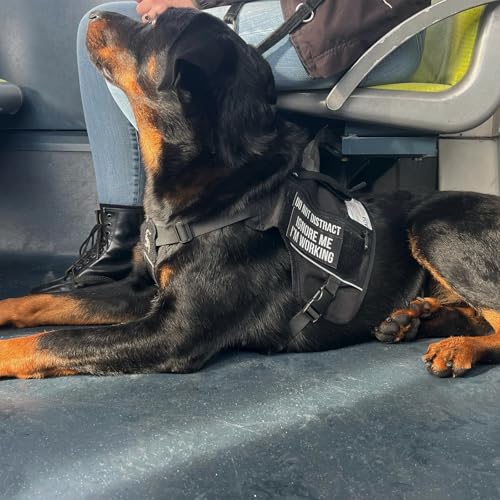OneTigris Sentinel Pink Service Dog Vest with Patches, Reflective Lightweight Service Dog Harness with Pockets for Medium Large Dogs (Black, M: Neck 16-23", Chest 24-32") - color: Black, size: M: Neck 16-23", Chest 24-32"