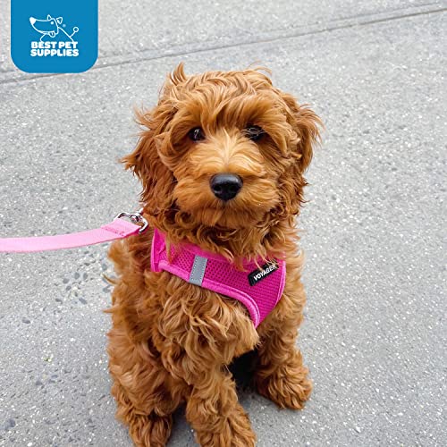 Best Pet Supplies Voyager Step-in Air Harness - All Weather Mesh, Reflective, No Pull Harness for Dogs, Cats - Secure with Hook & Loop Fastener, Buckle, Double D-Rings - Fuchsia, M - color: Harness (Fuchsia), size: M (Chest: 16 - 18")