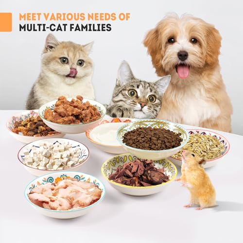 YEAHGO Cat Food Bowls for Indoor Cats Ceramic Cat Bowls Whisker Friendly Cat Dishes for Food and Water 5.5 Inches Kitten Bowls Cute Cat Feeding Bowls Set 8 Cat Wet Food Bowl Set Shallow Cat Plate - size: Boho–8 Pack